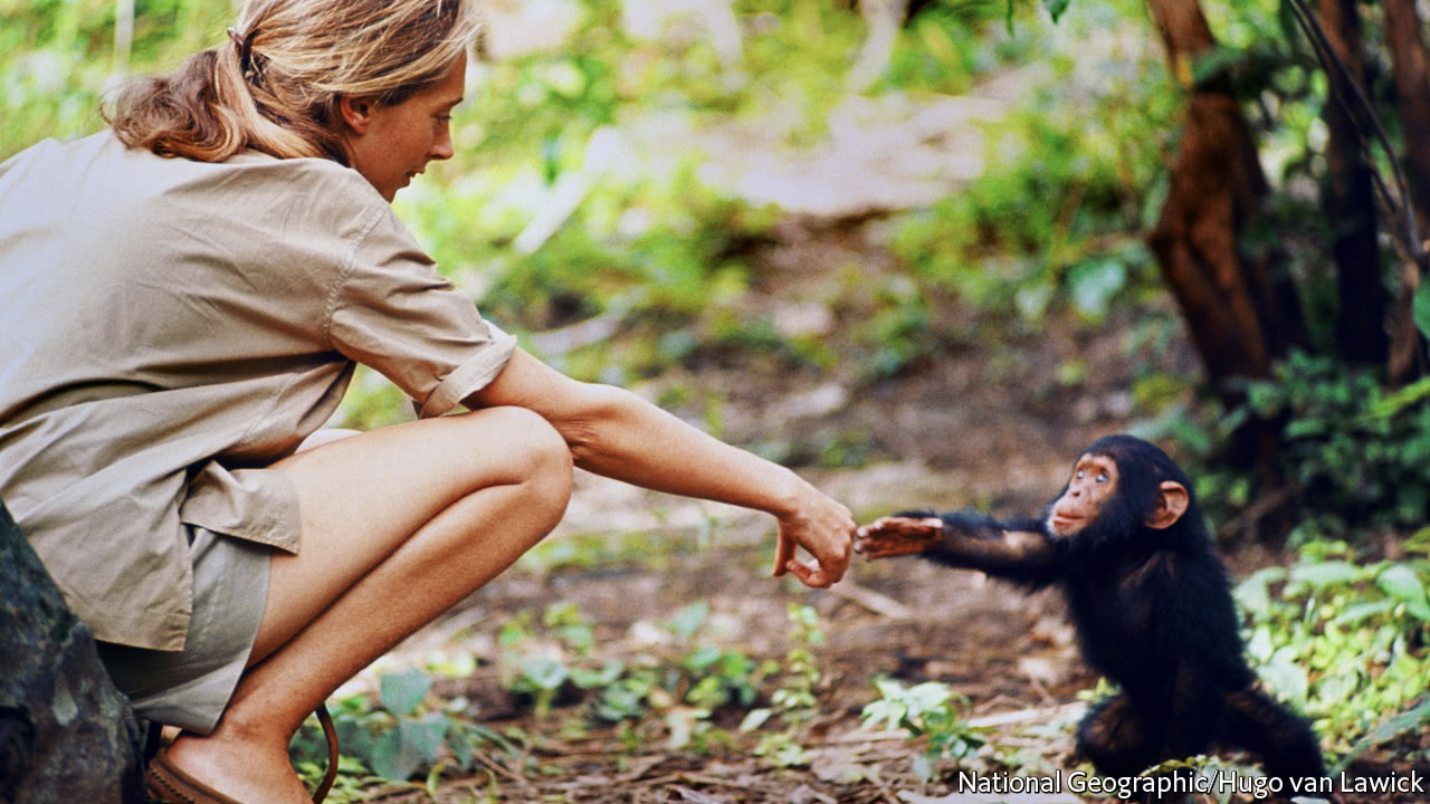 Screen Shot 2018-10-31 at 09.11.27