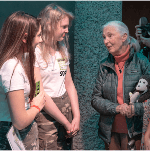 Screen Shot 2019-03-30 at 08.18.29